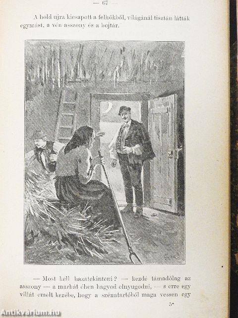 Parlagi képek/Tormagyökerek