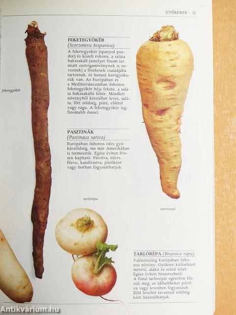 A főzés alapanyagai