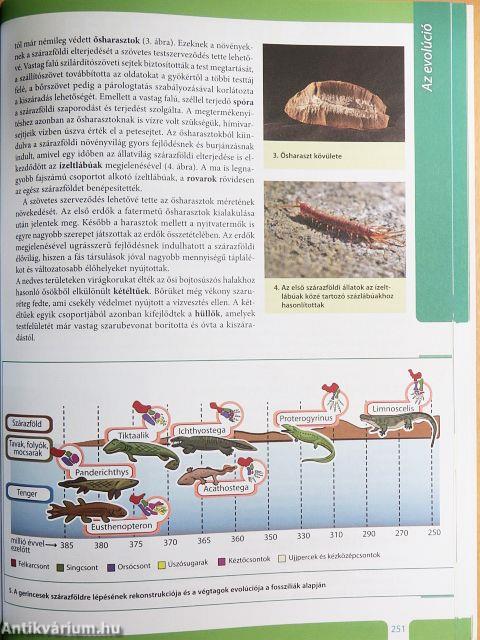 Biológia tankönyv 9-10/I.