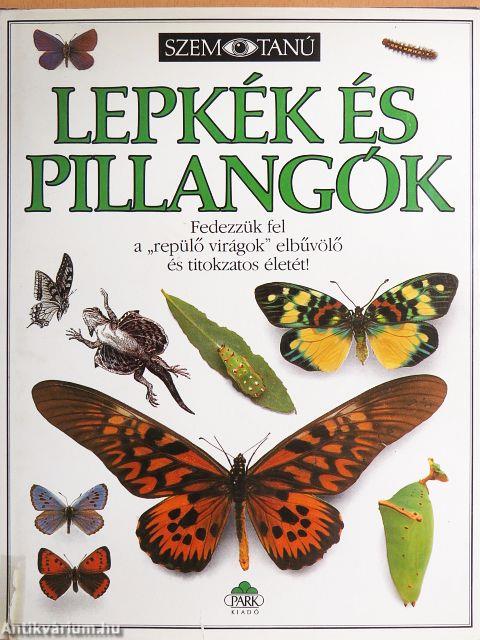 Lepkék és pillangók