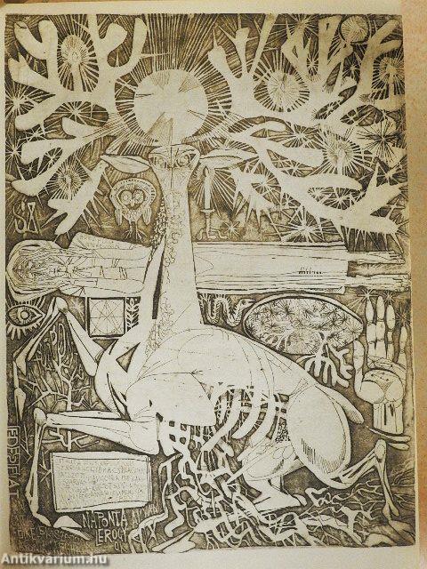 A szarvassá változott fiú