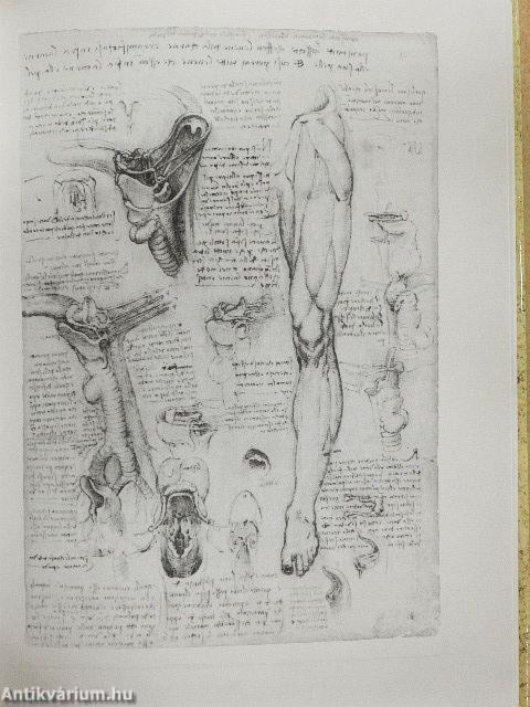 Tudomány és művészet