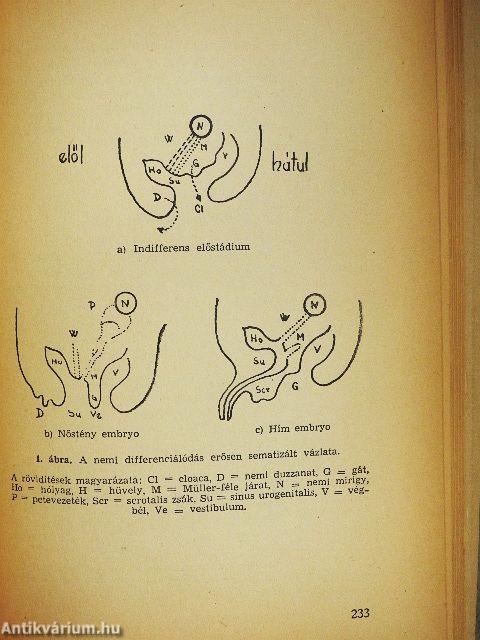 A nő nemi életének és szerelmi képességének zavarai