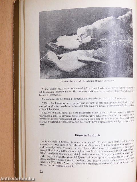 Állatpreparátumok készítése