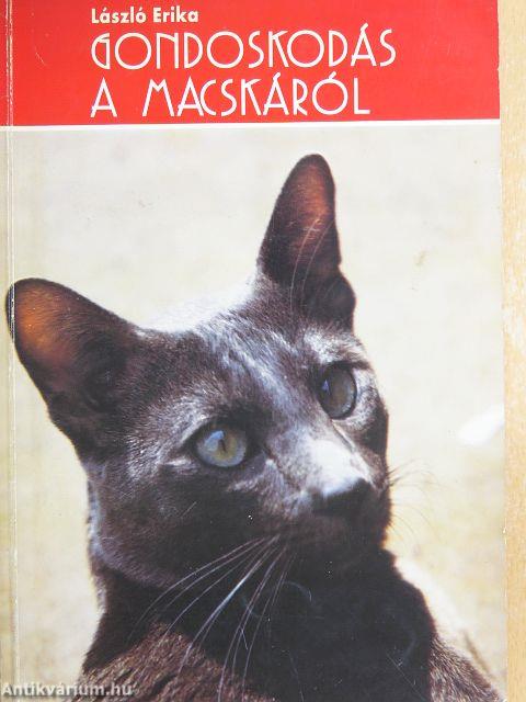 Gondoskodás a macskáról