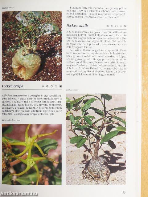 Pozsgás növények enciklopédiája