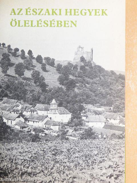 Az északi hegyek ölelésében