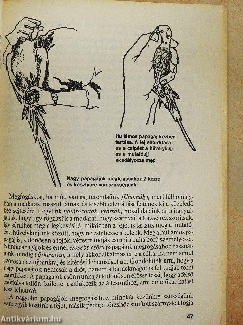 Állatkedvencek tartása és gyógyítása