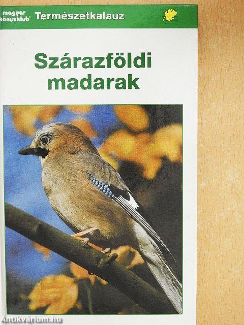 Szárazföldi madarak