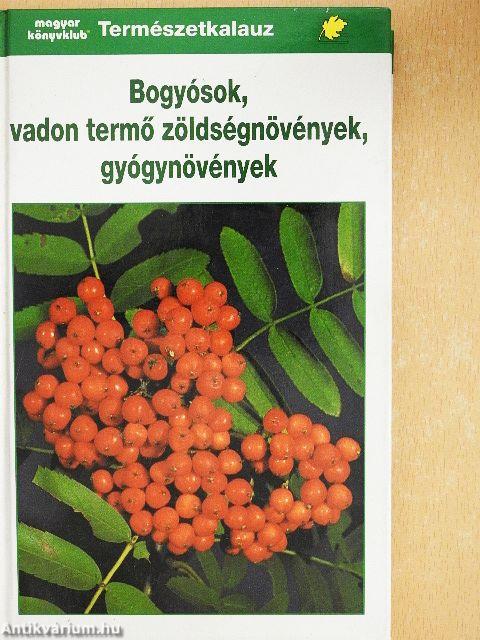 Bogyósok, vadon termő zöldségnövények, gyógynövények