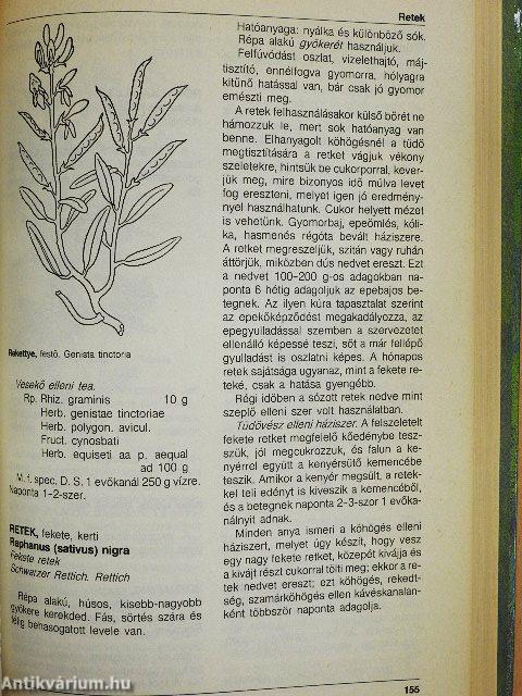 Gyógynövények gyógyhatásai