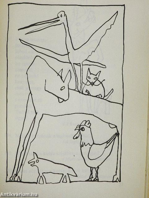 Sző, fon, nem takács. Mi az?