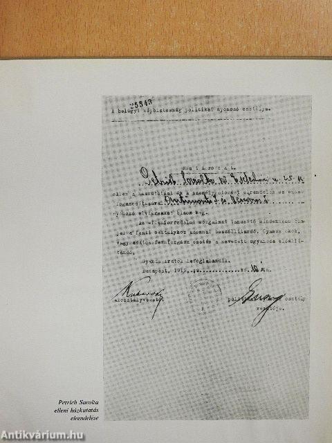 A proletárhatalom védelmében