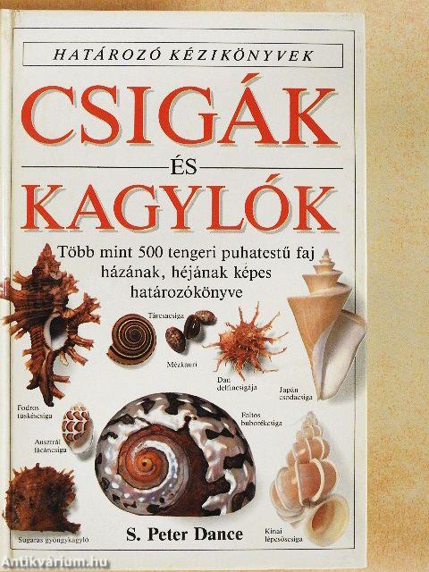 Csigák és kagylók