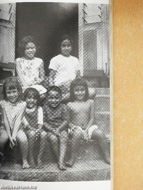 A kenyérfák árnyékában