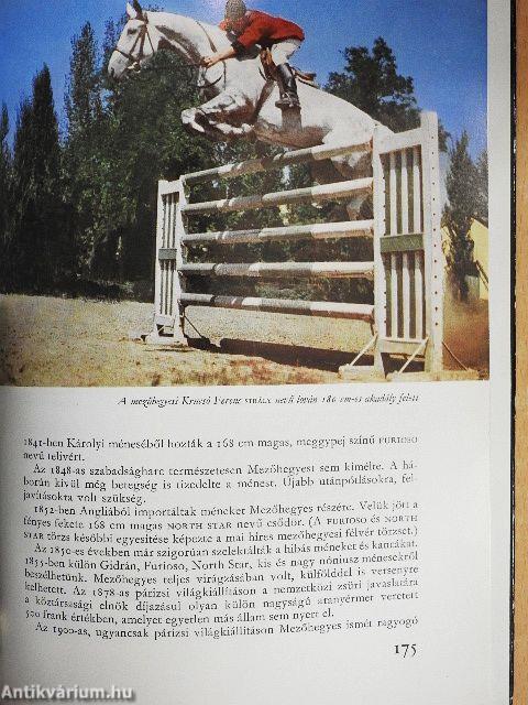 Lovasélet Magyarországon