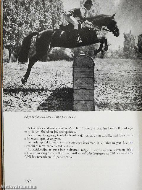 Lovasélet Magyarországon