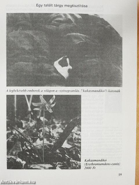 Bevezetés a szépirodalomba