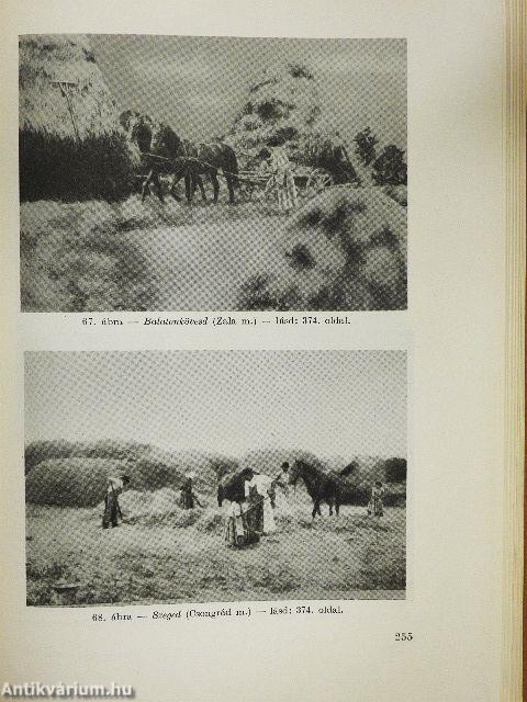 A gabonaneműek nyomtatása a magyar parasztok gazdálkodásában