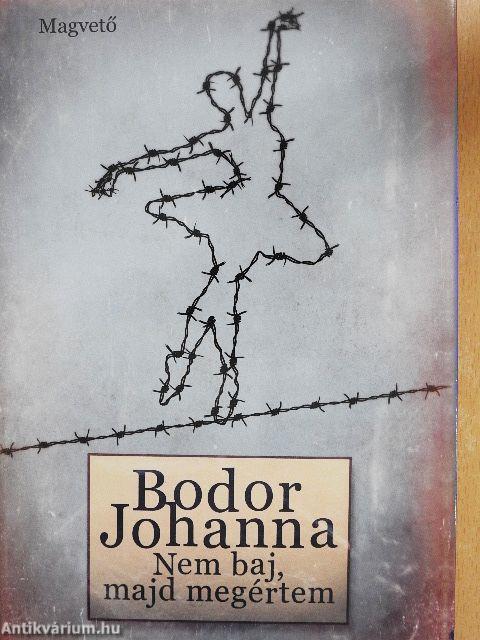 Nem baj, majd megértem