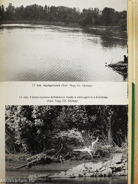 Horgászoknak a Tiszáról