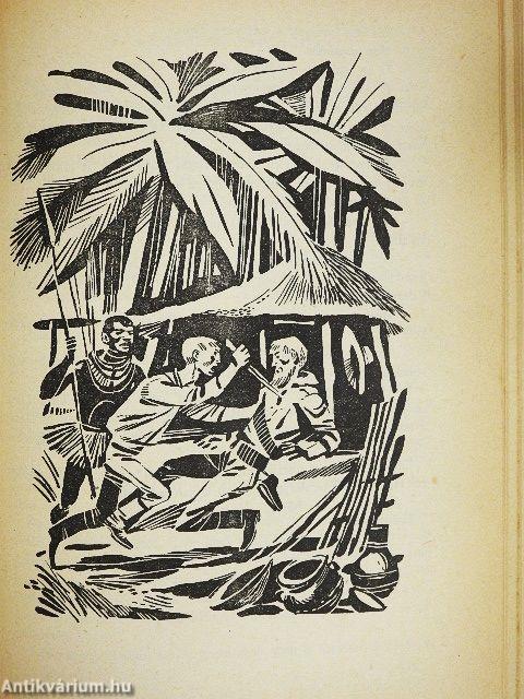 A tizenöt éves kapitány