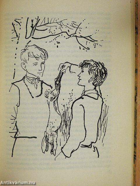 Bujdosásunk története