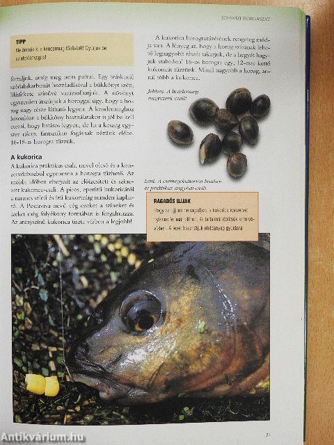 Horgász enciklopédia 