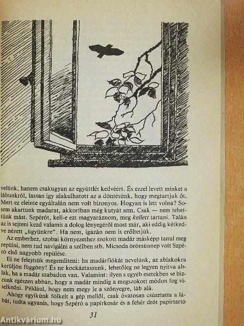 Madárnak születni kell...!