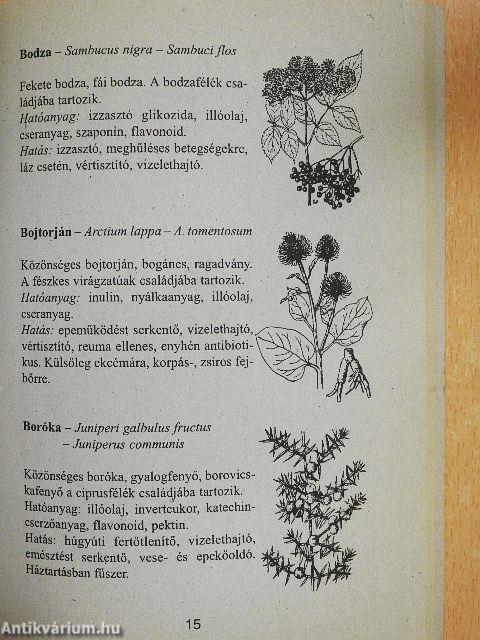 Gyógynövények és gyógyteák