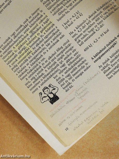 Modern sporttáplálkozás