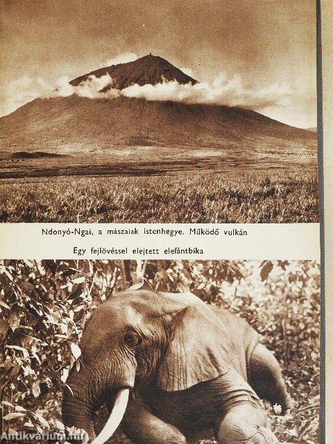 Kelet-Afrika vadonjaiban