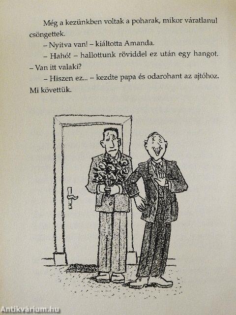 Amanda és a detektívek