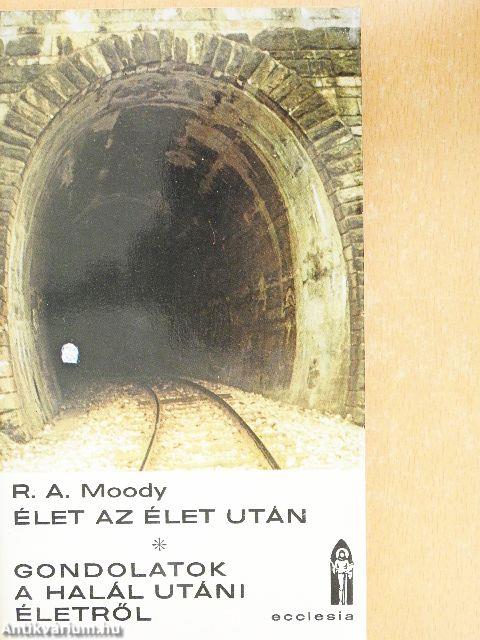 Élet az élet után/Gondolatok a halál utáni életről