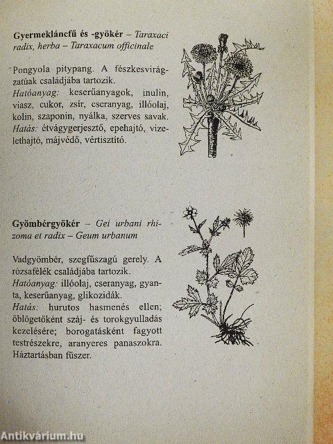 Gyógynövények és gyógyteák