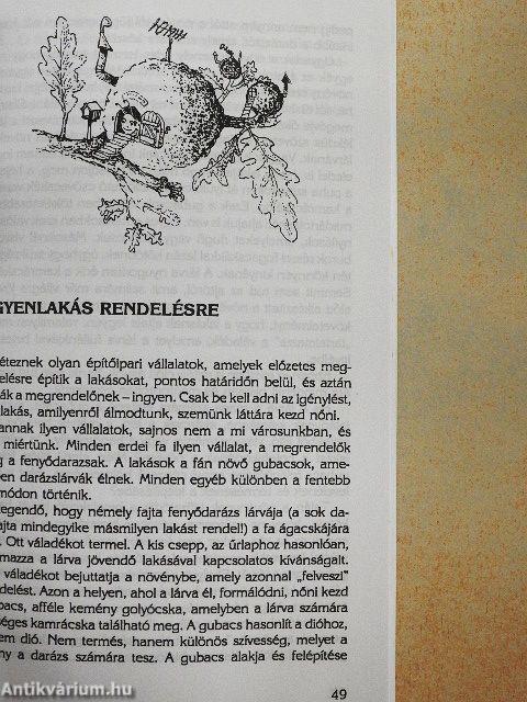 A természet Istenről beszél