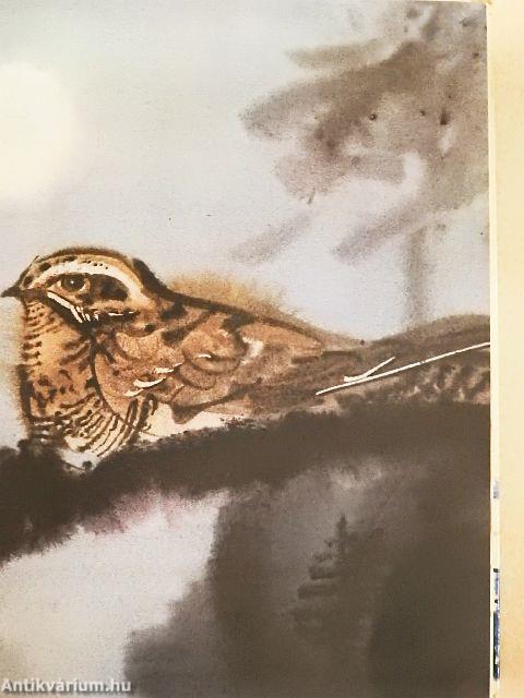 Kisállatok esti meséje