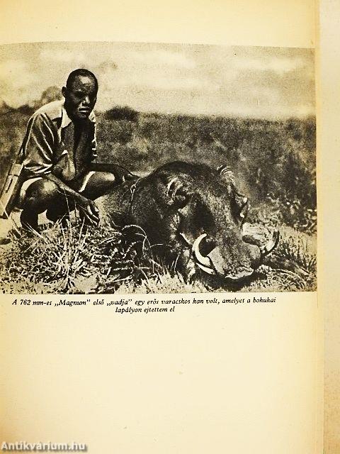 Utolsó afrikai vadászatom