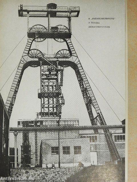 Tisztelet Komlónak!