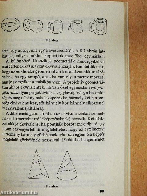 Bevezetés a topológiába