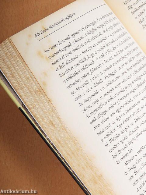 Ady Endre nagyváradi sajtópere és börtönnapjai