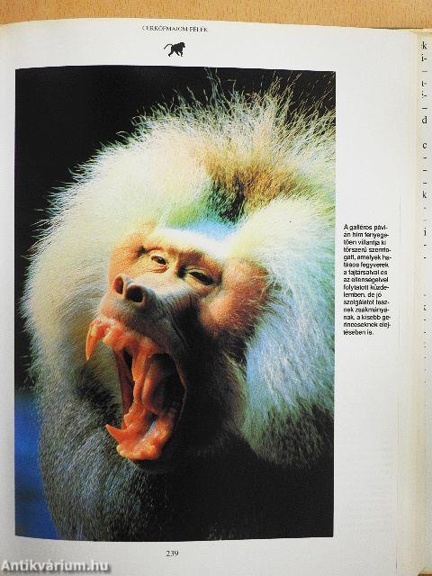 Emlősök enciklopédiája II.