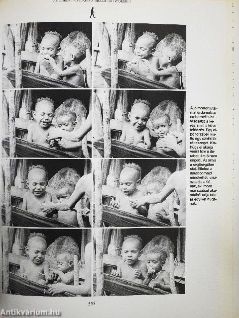 Emlősök enciklopédiája II.