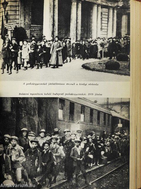 A vörös lobogó alatt