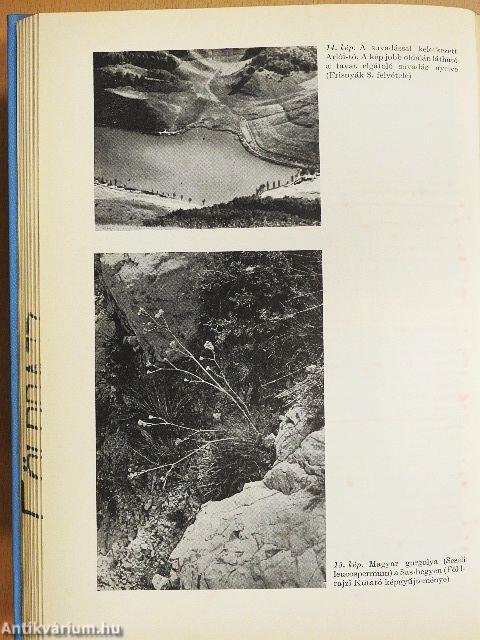 Magyarország természeti és gazdasági földrajza