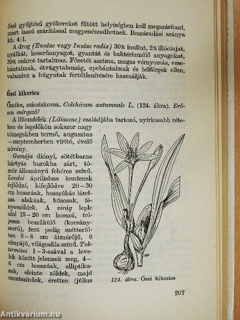 Gyógyító növények