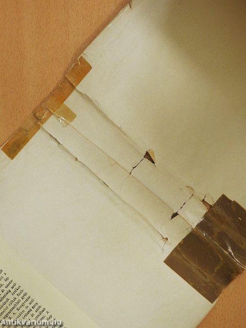 Matematikai fejtörők