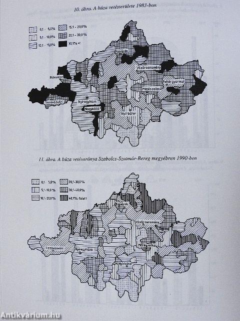 Szabolcs-Szatmár-Bereg Megye Monográfiája 2. (töredék)