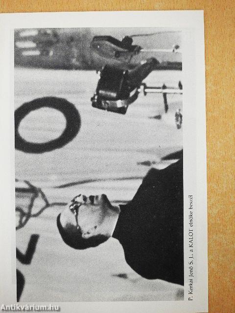 Kerkai Jenő emlékezete