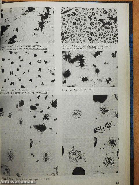 Proceedings of the First International Congress of Ecology